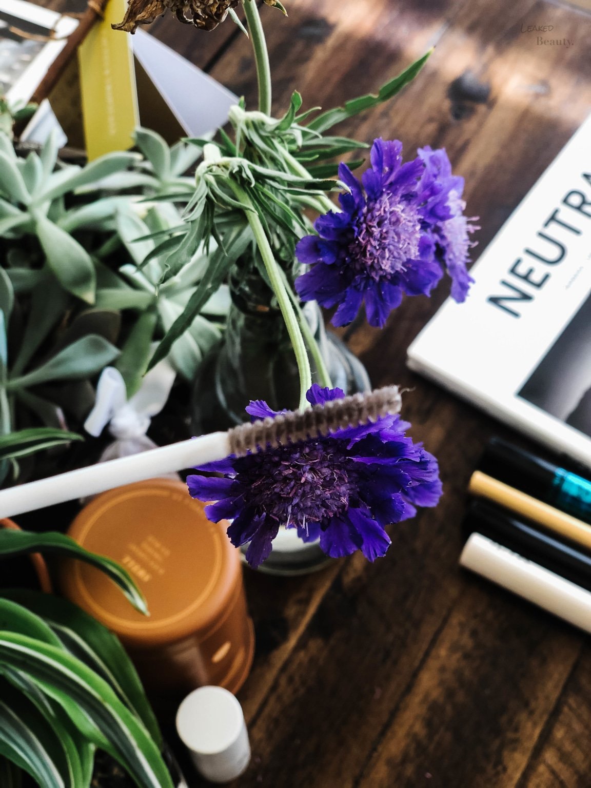 My Pmel Essence Mascara Base Review — Leaked Beauty